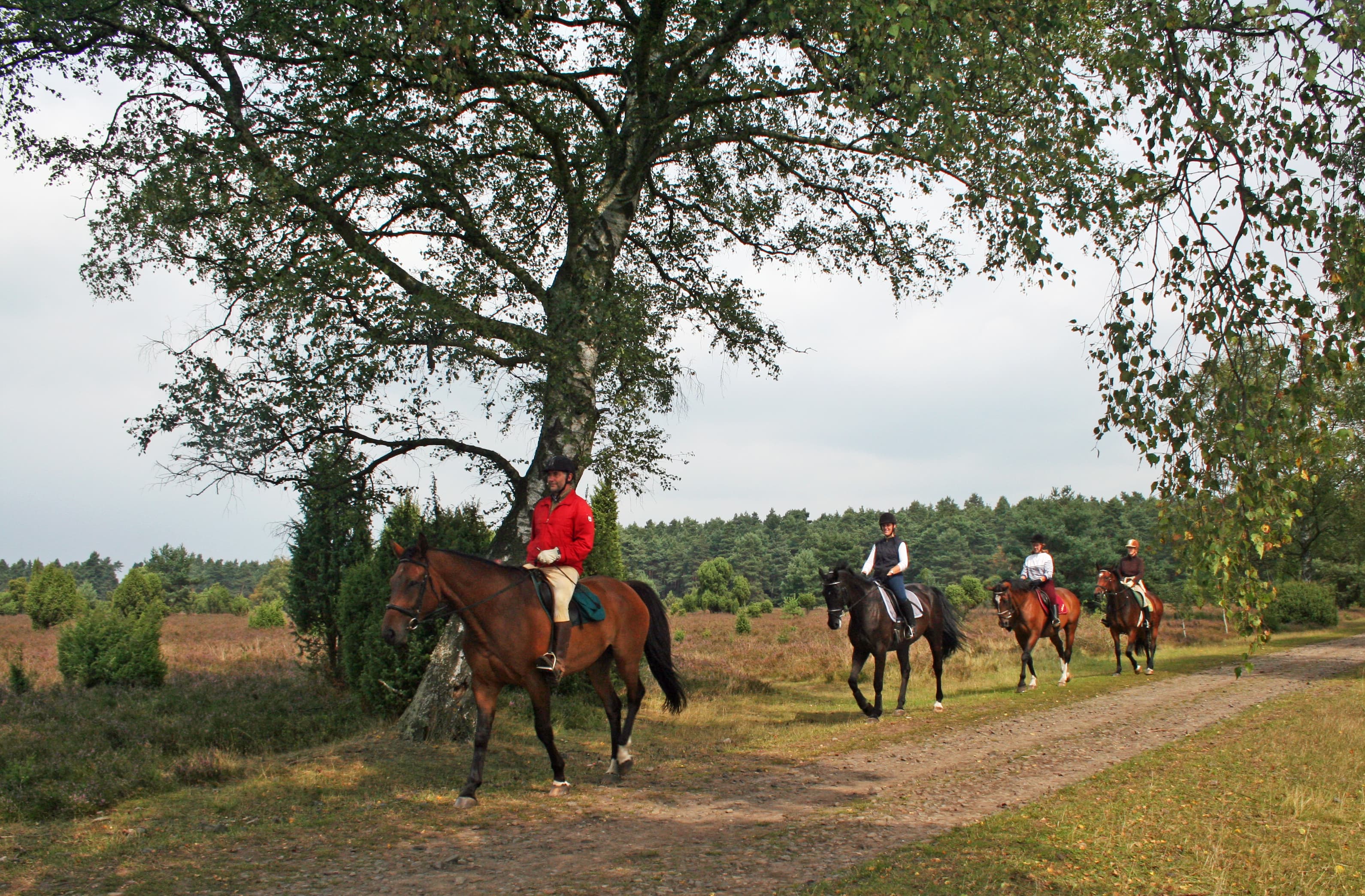 Reiter im Naturpark Südheide