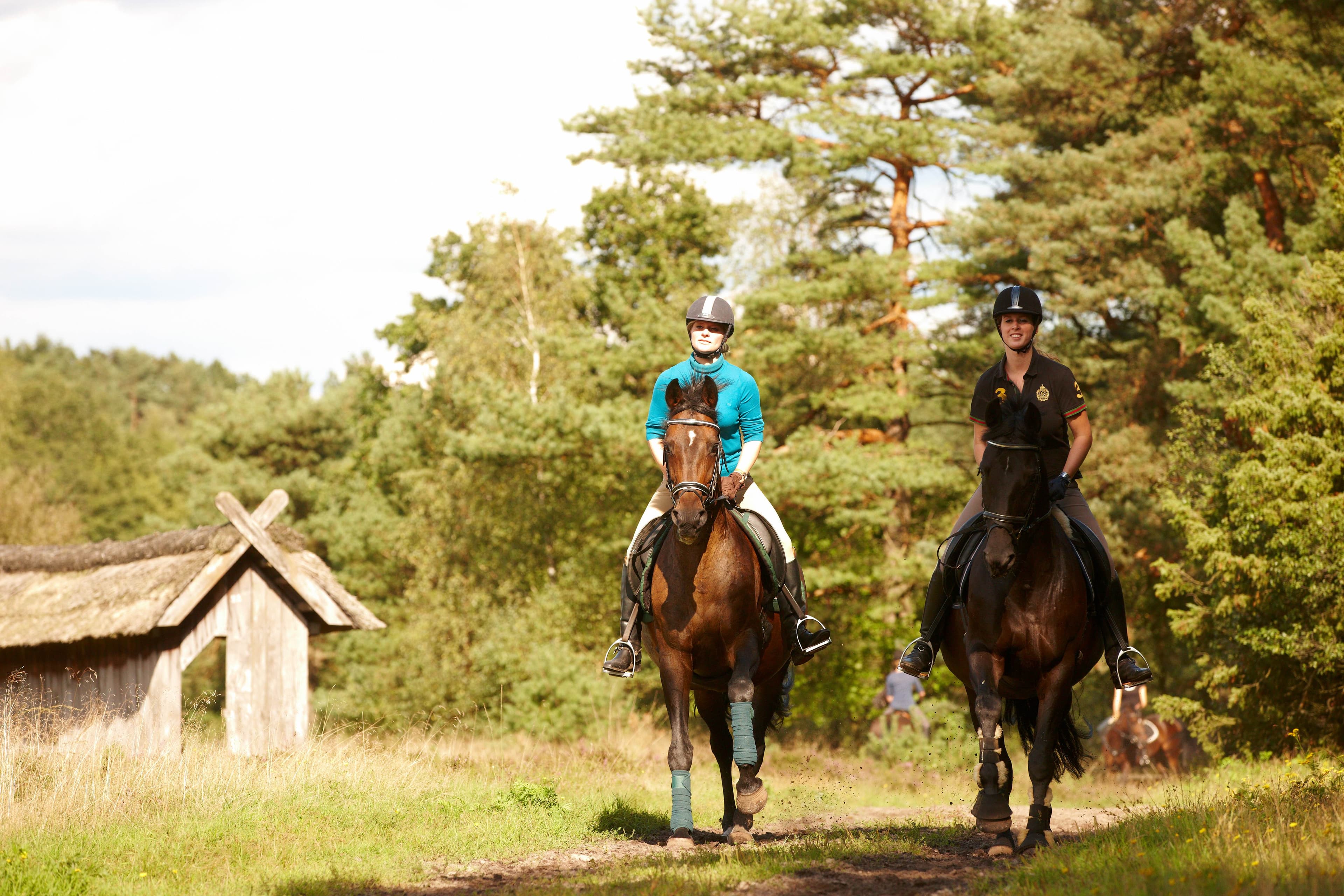 Reiter im Naturpark Südheide