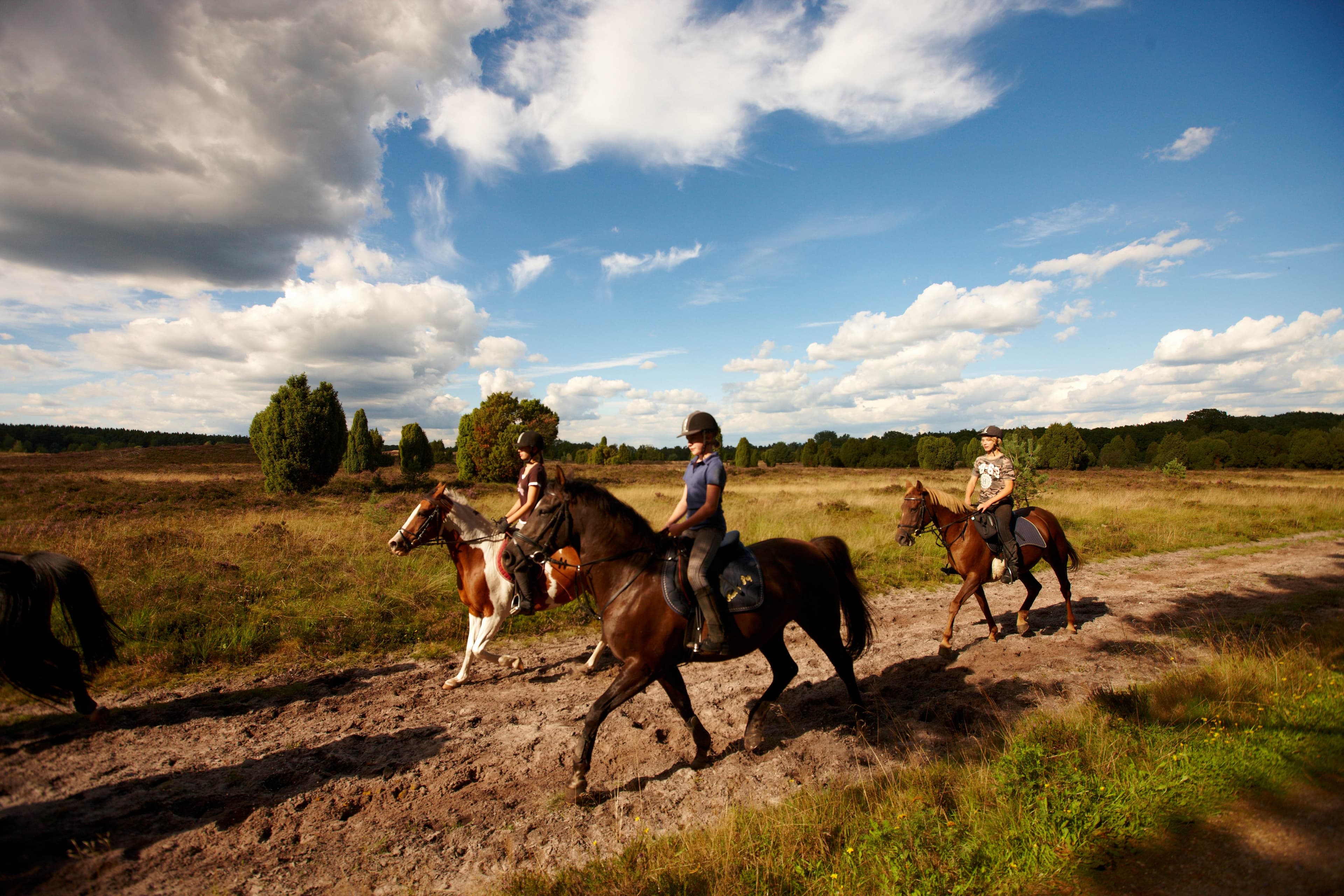 Reiter im Naturpark Südheide