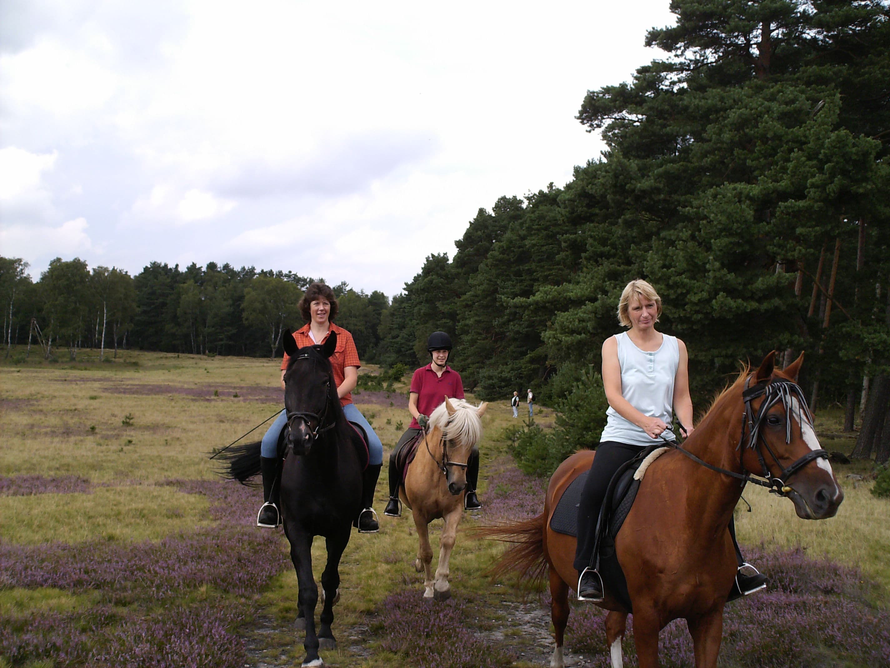 Reiter im Naturpark Südheide