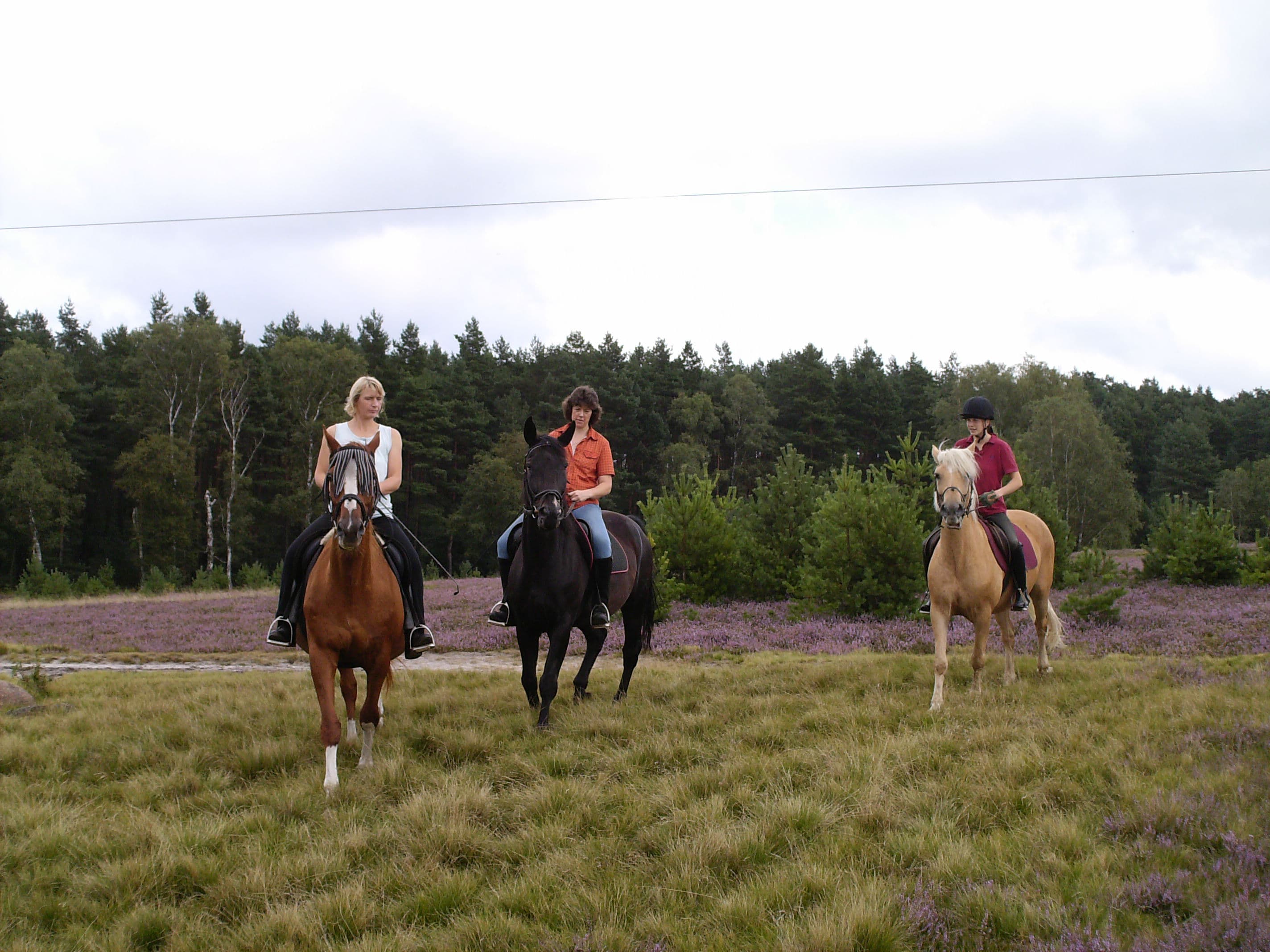 Reiter im Naturpark Südheide