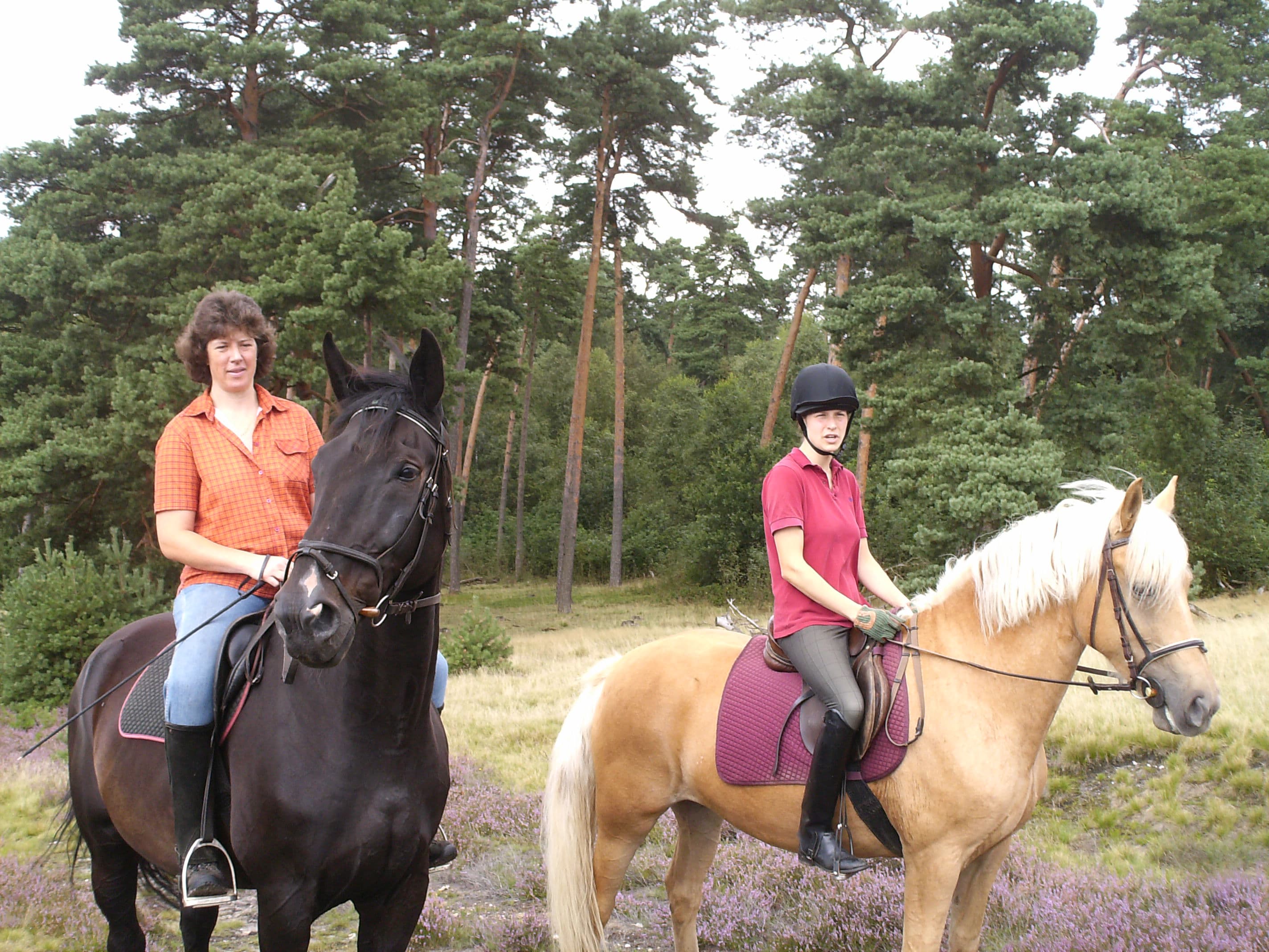 Reiter im Naturpark Südheide