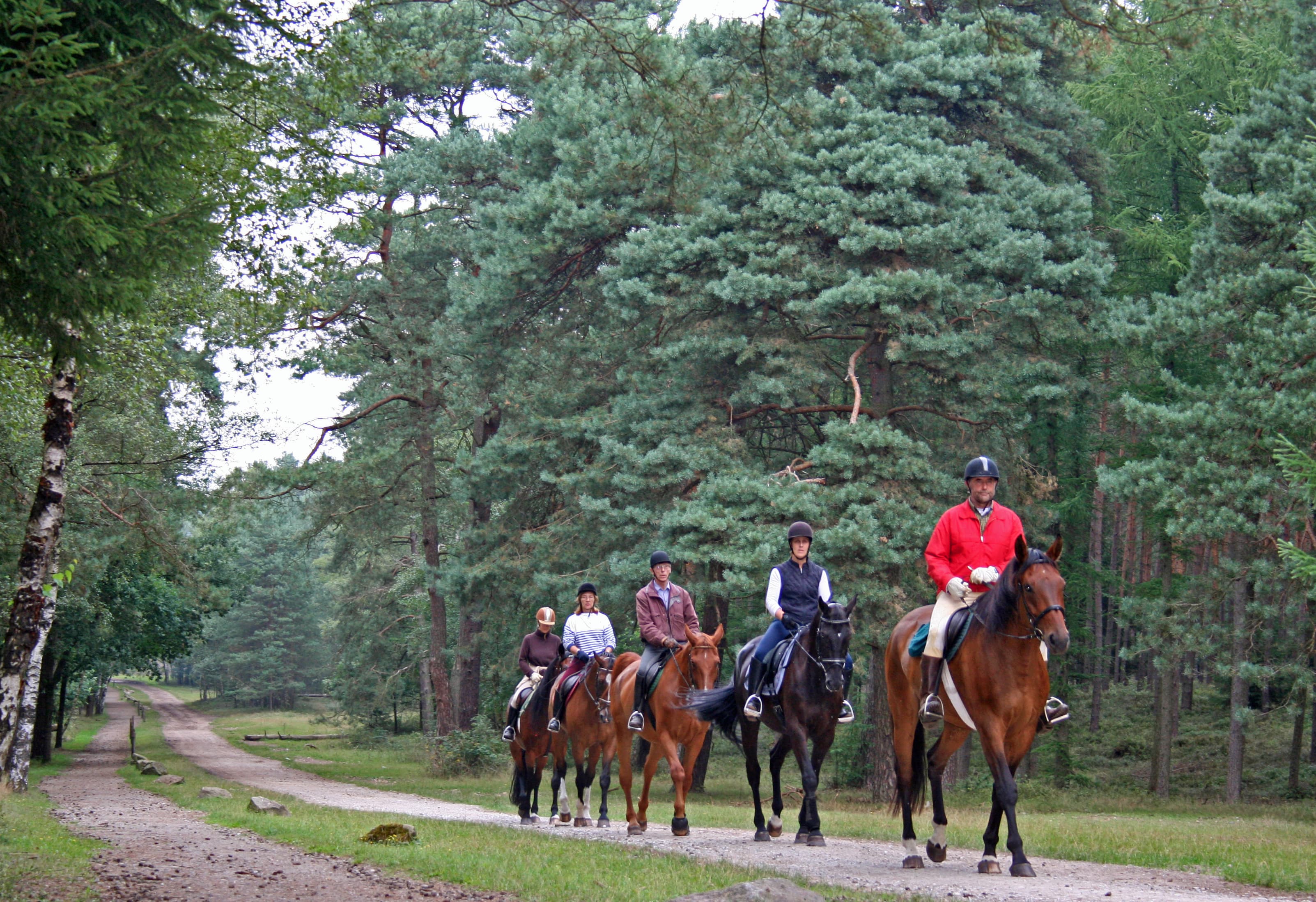 Reiter im Naturpark Südheide