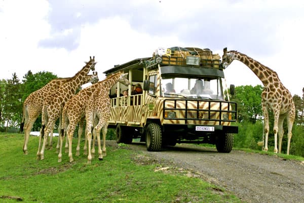 Serengeti Park Hodenhagen Lüneburger Heide
