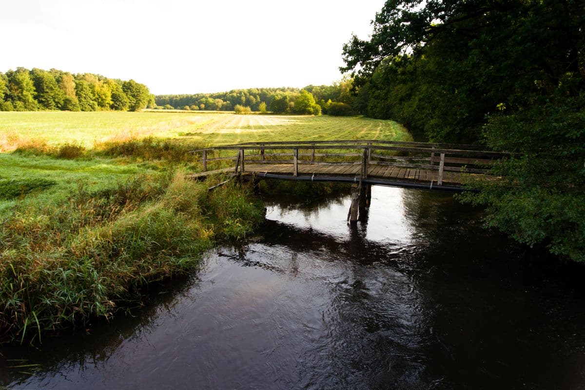 Brücke über die Örtze Südheide