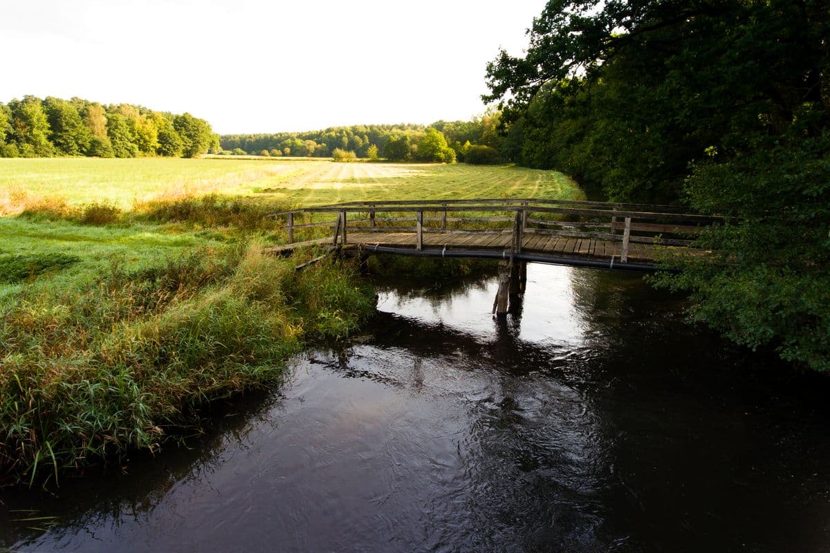 Brücke über die Örtze