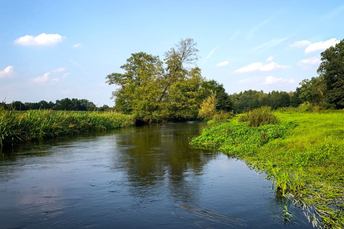 Wasserwandern auf der Örtze