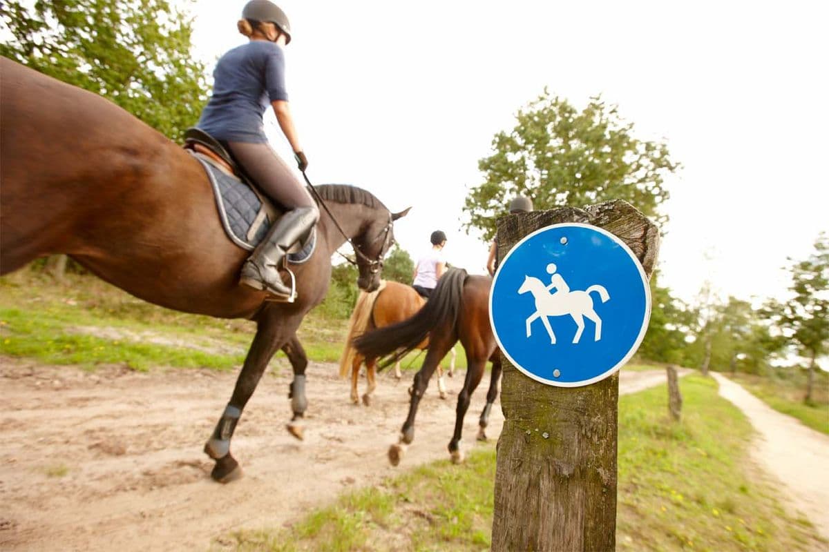 Reiter auf einem beschilderten Reitweg