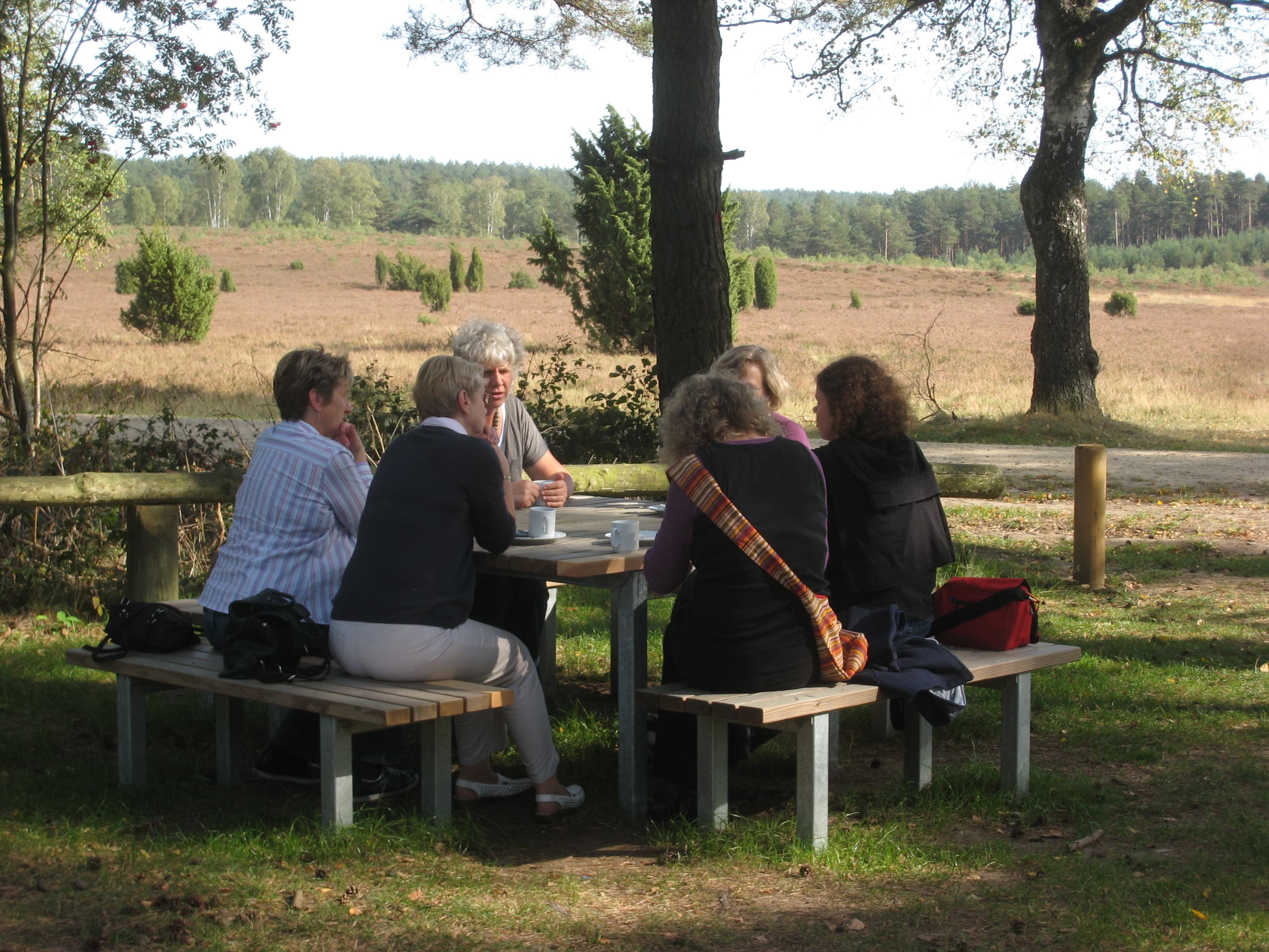 Picknickplatz Misselhorner Heide
