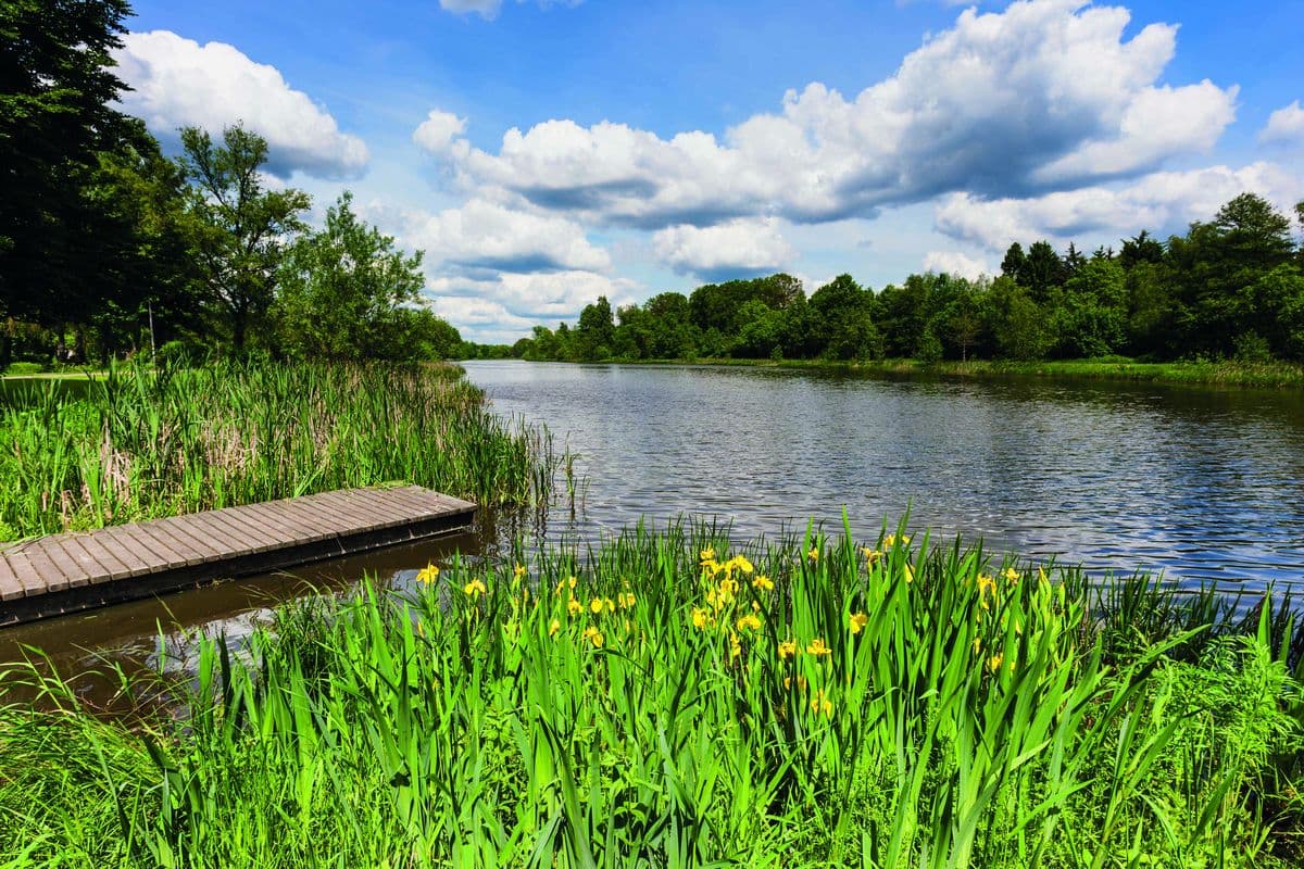 Am Heidesee in Müden (Örtze)