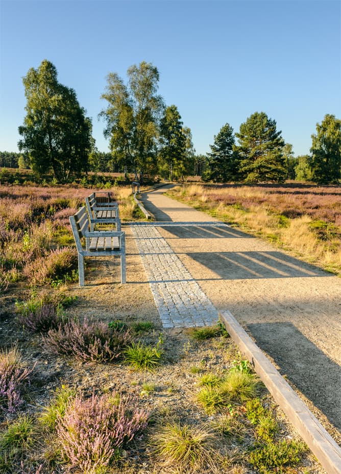 Barierrefreier Rundwanderweg Angelbecksteich Hermannsburg Heideschleife Heidschnuckenweg Wandern