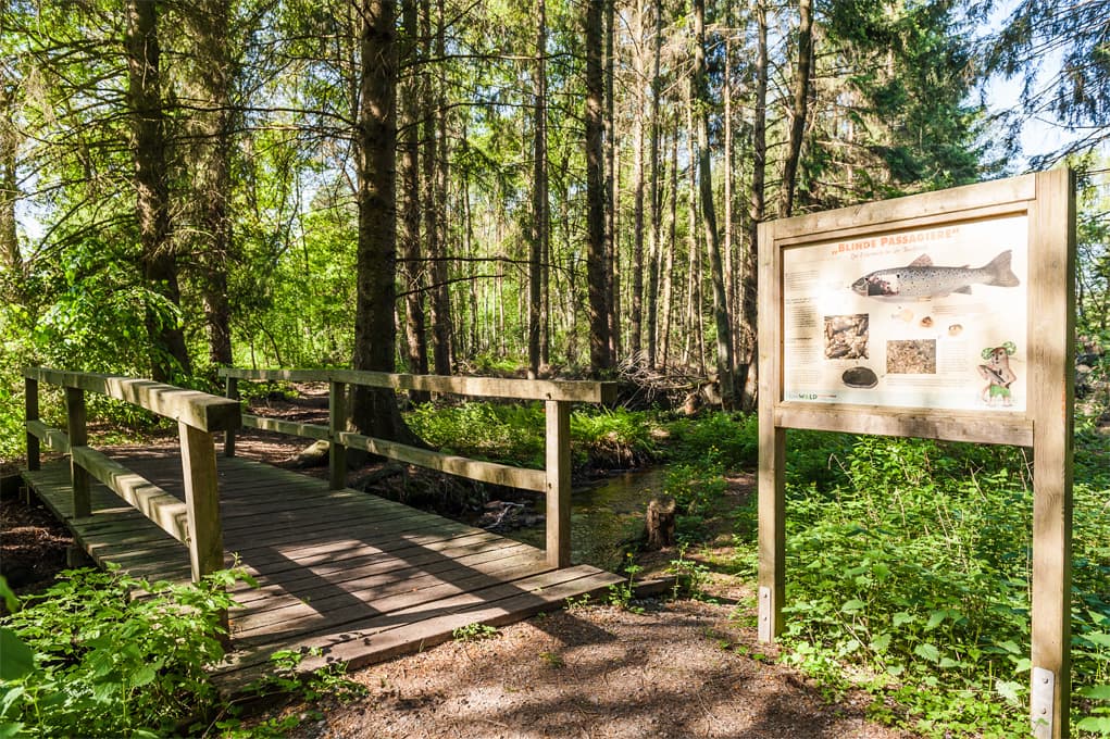 Infoschild am Fluß-Wald-Erlebnispfad