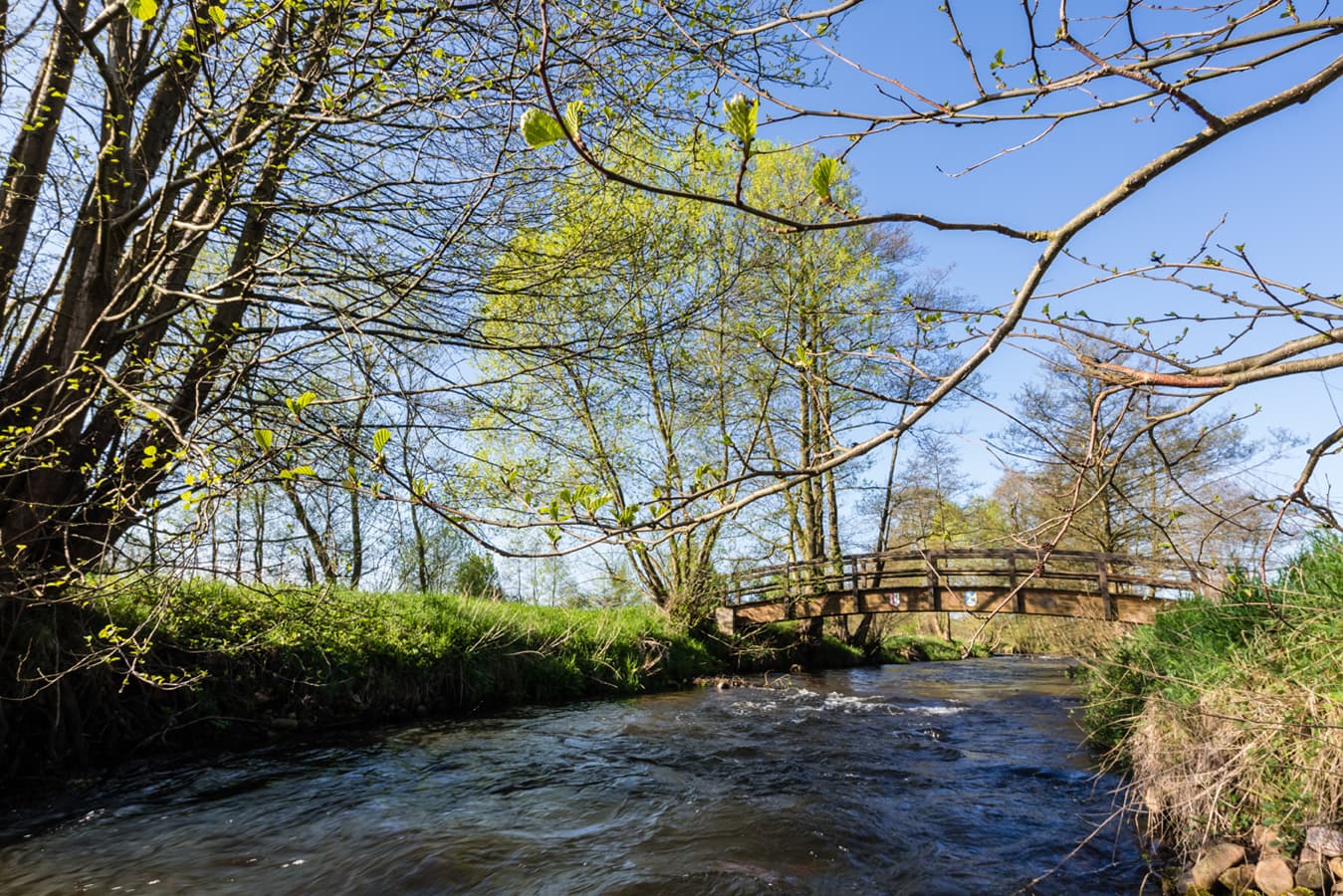 Heidefluss Seeve in der Nordheide