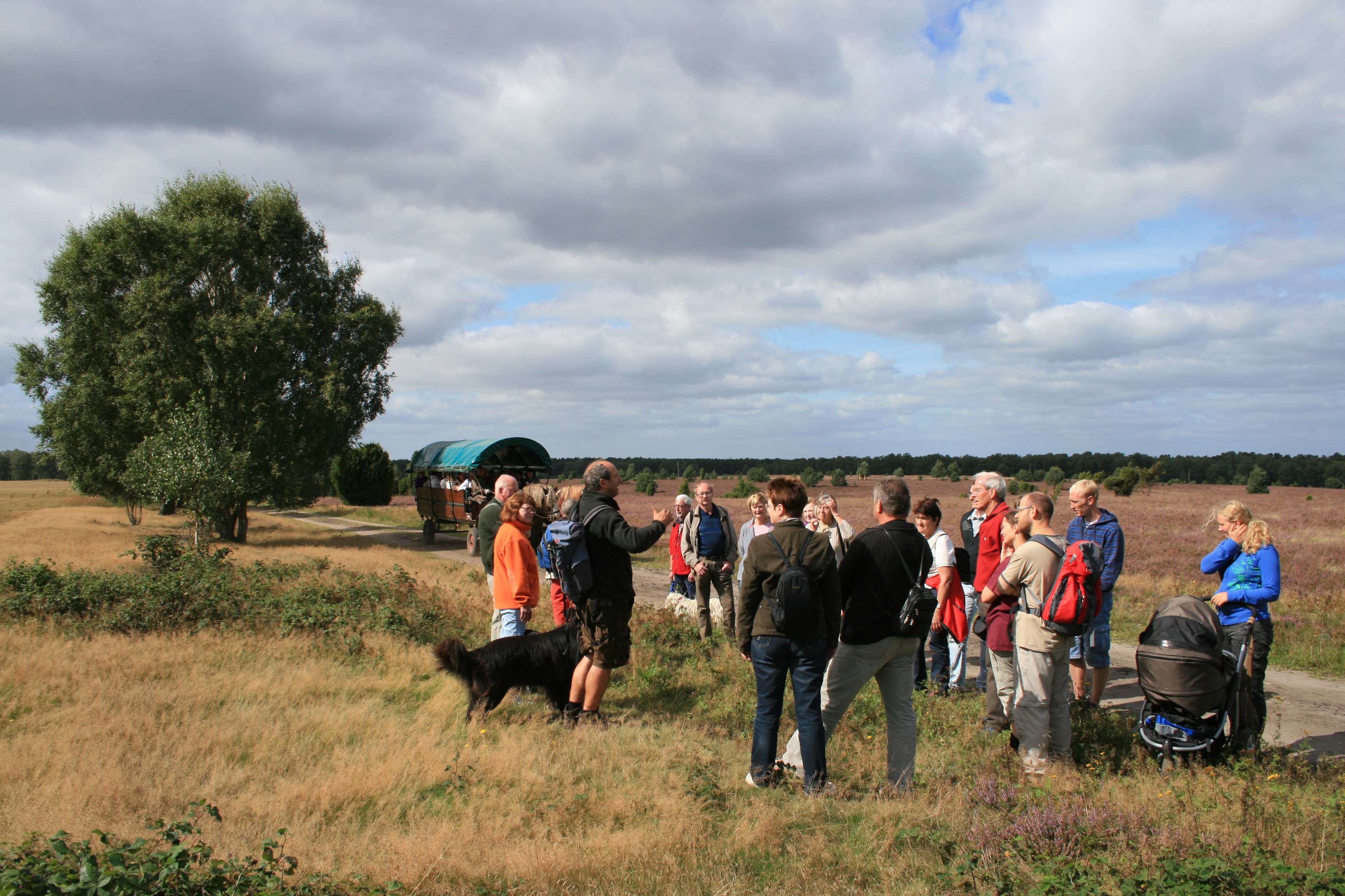 Gästeführung in der Südheide