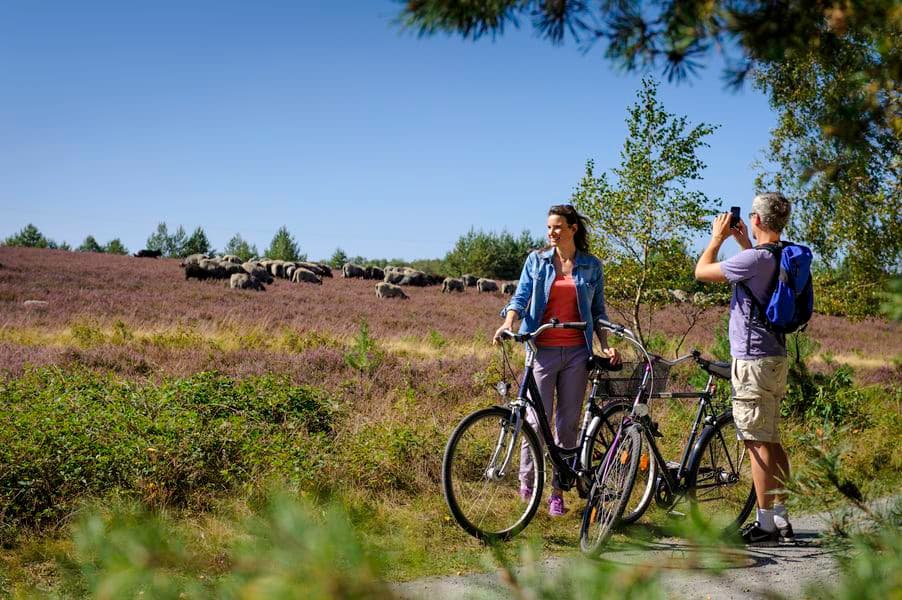 Kulinarische Radtour