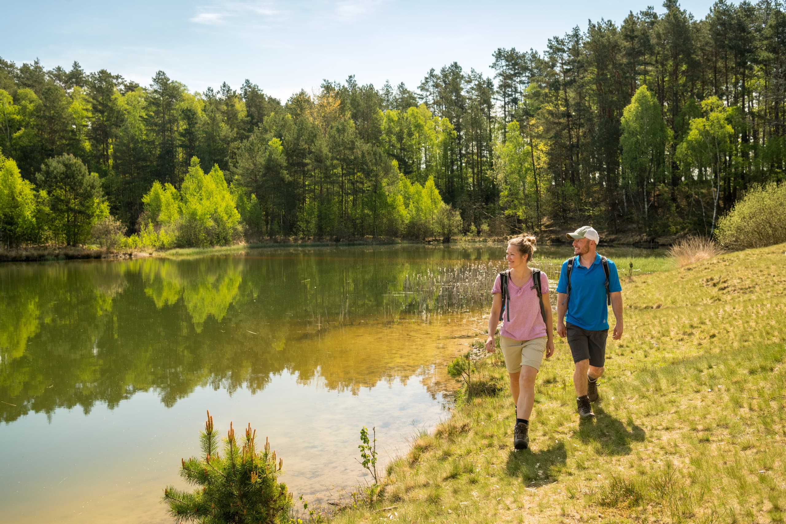 Kieselgurteich in der Oberoher Heide