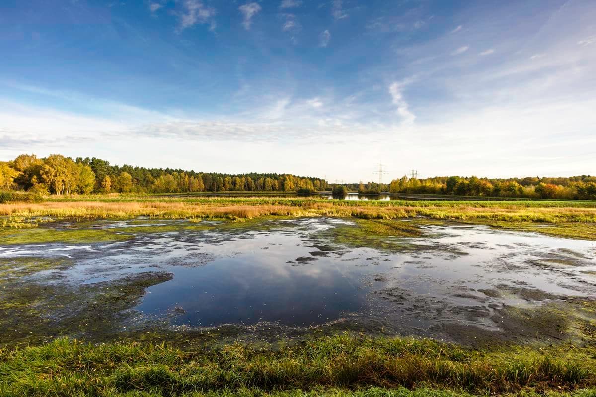 Aschauteiche bei Eschede