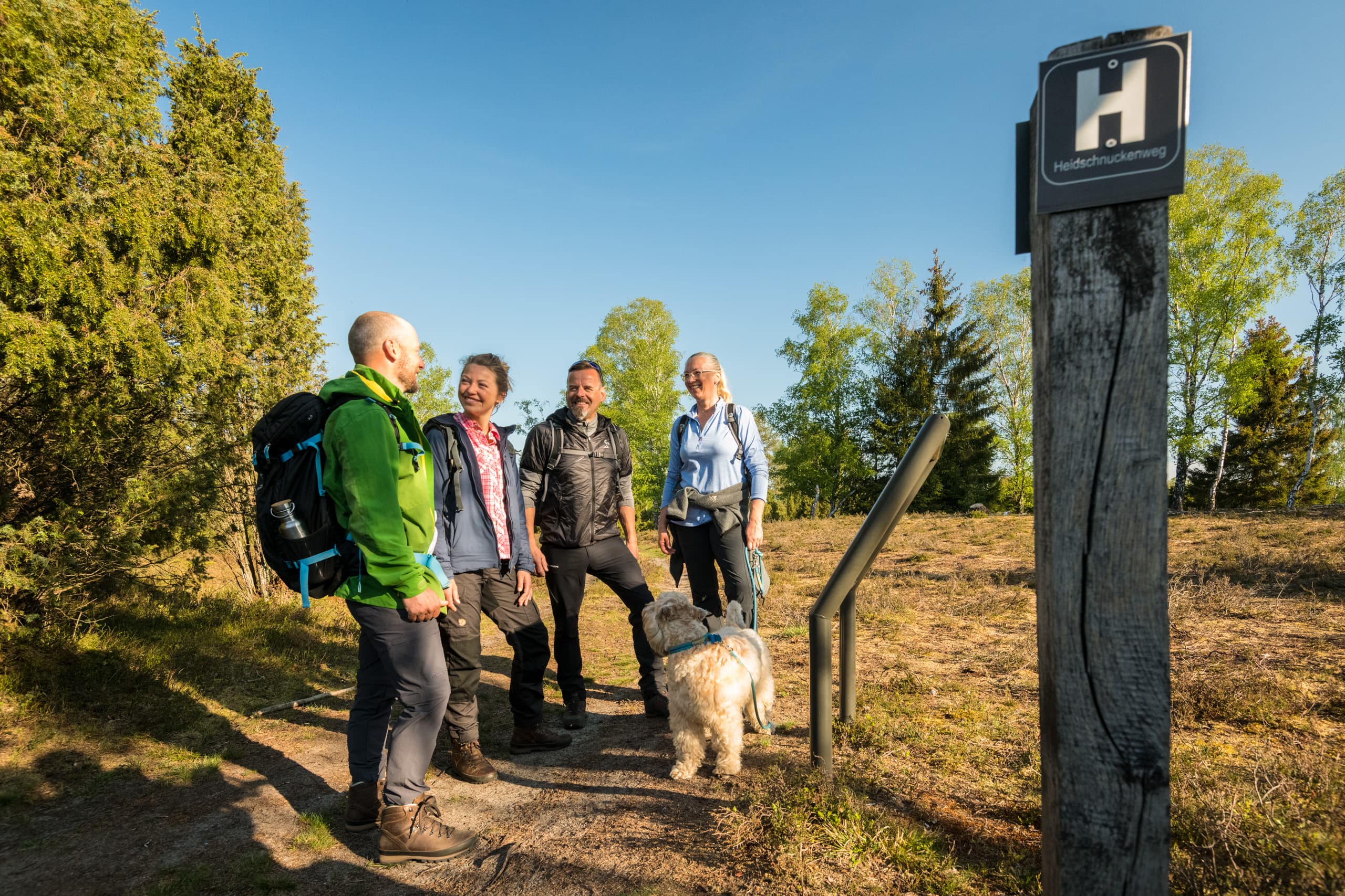 Wanderer in der Oberoher Heide