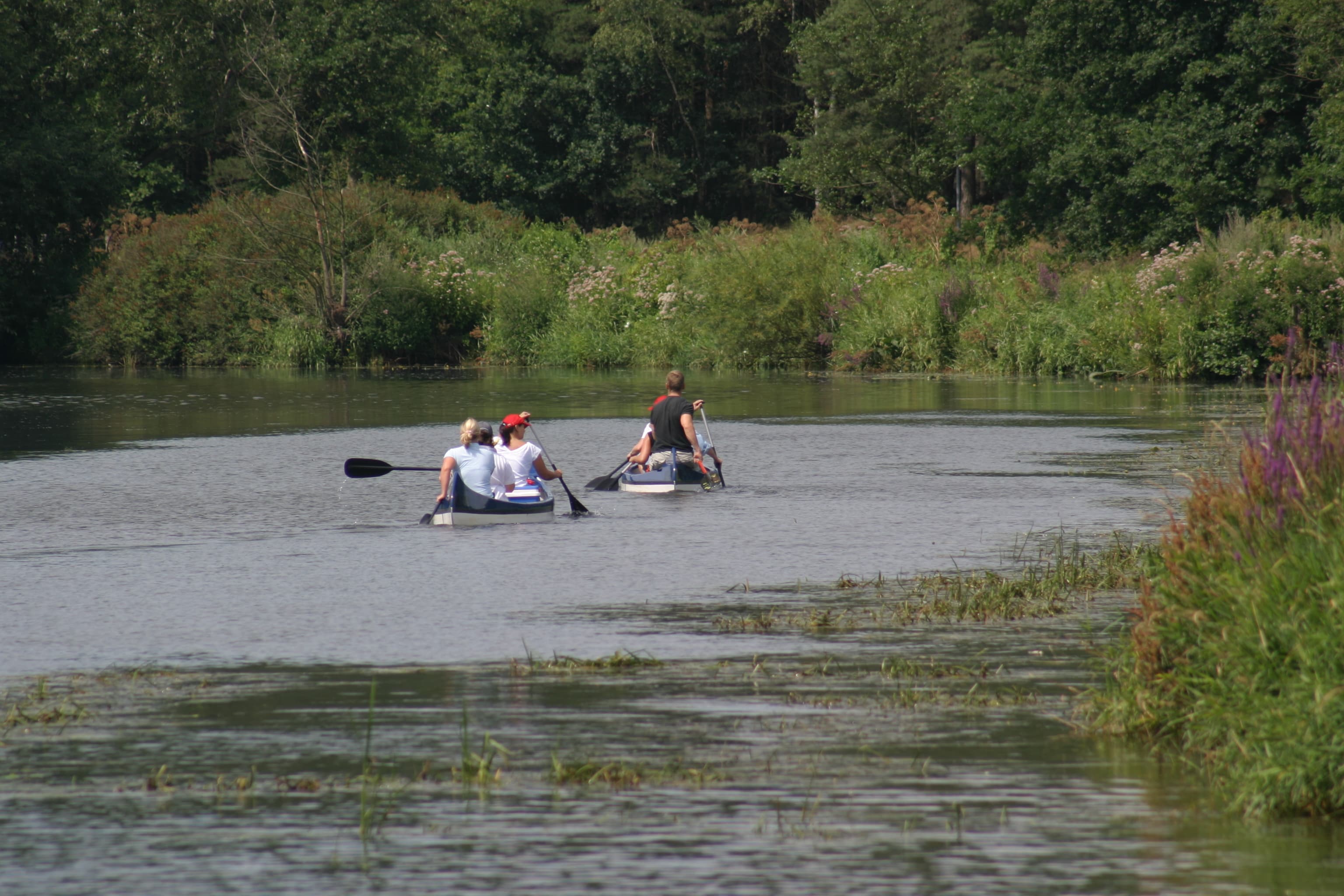Aller Fluss