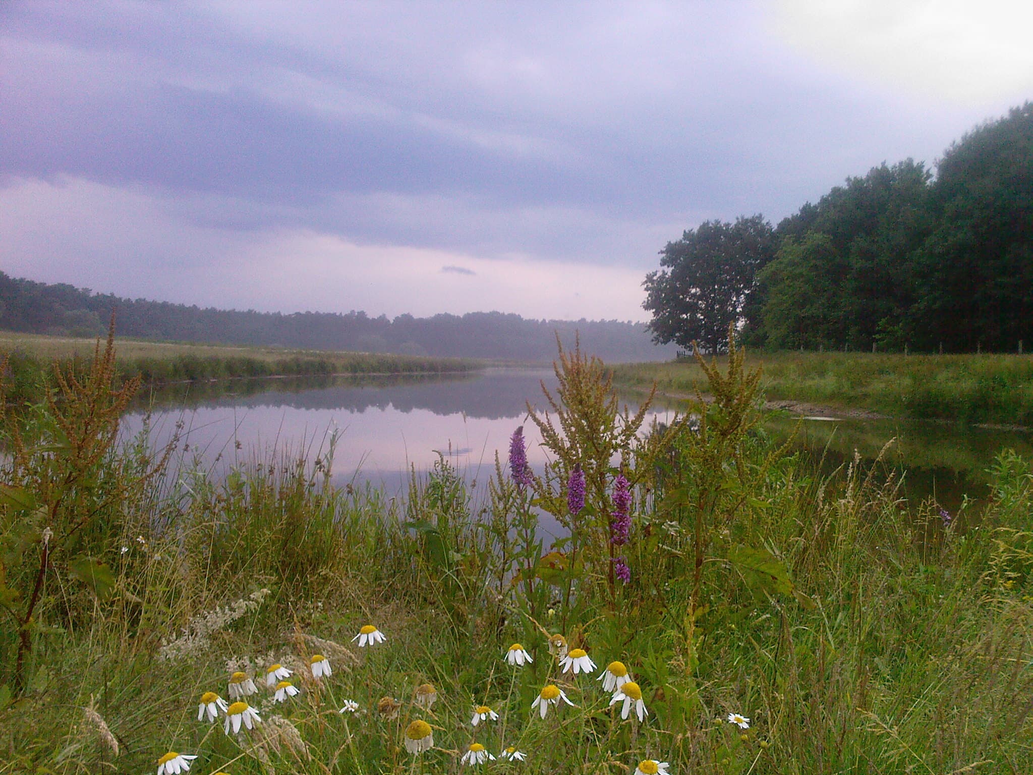 Aller Fluss