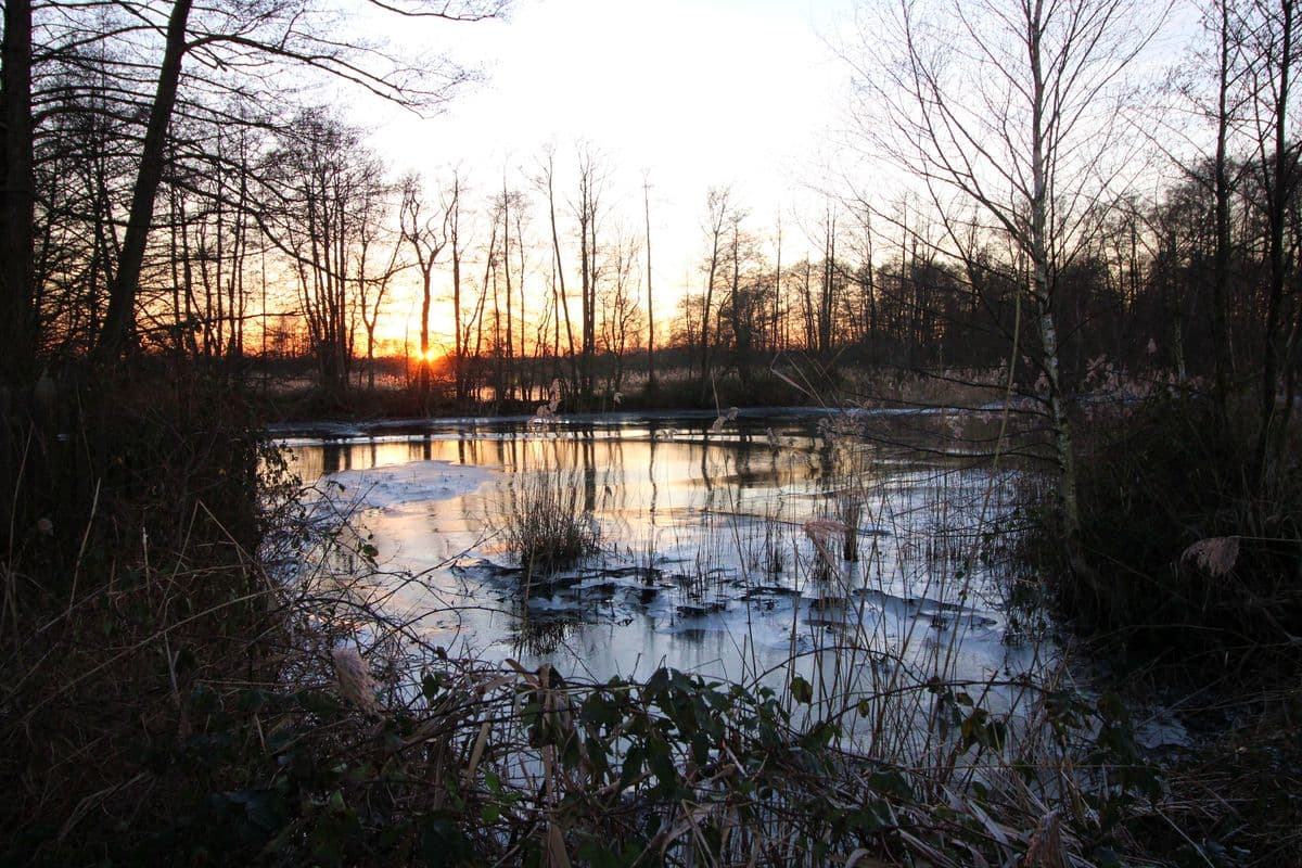 Sonnenuntergang an den Meißendorfer Teichen