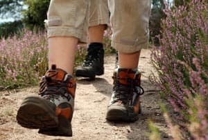 Wandern auf dem Jakobsweg in der Lüneburger Heide