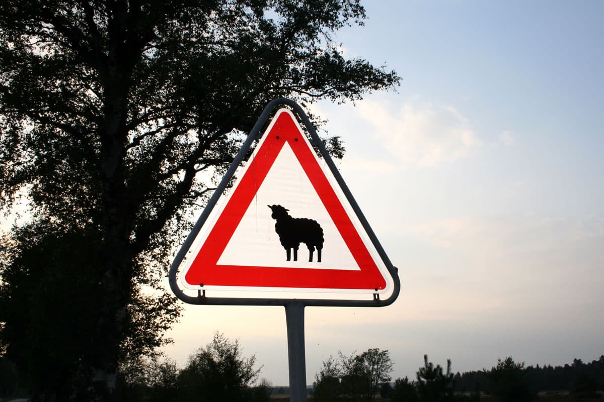 Heidschnuckenschild in der Lüneburger Heide