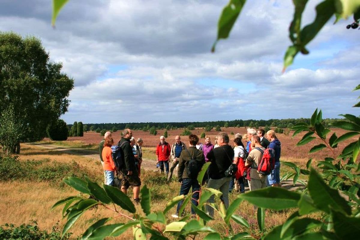 Geführte Wanderung im Naturpark Südheide