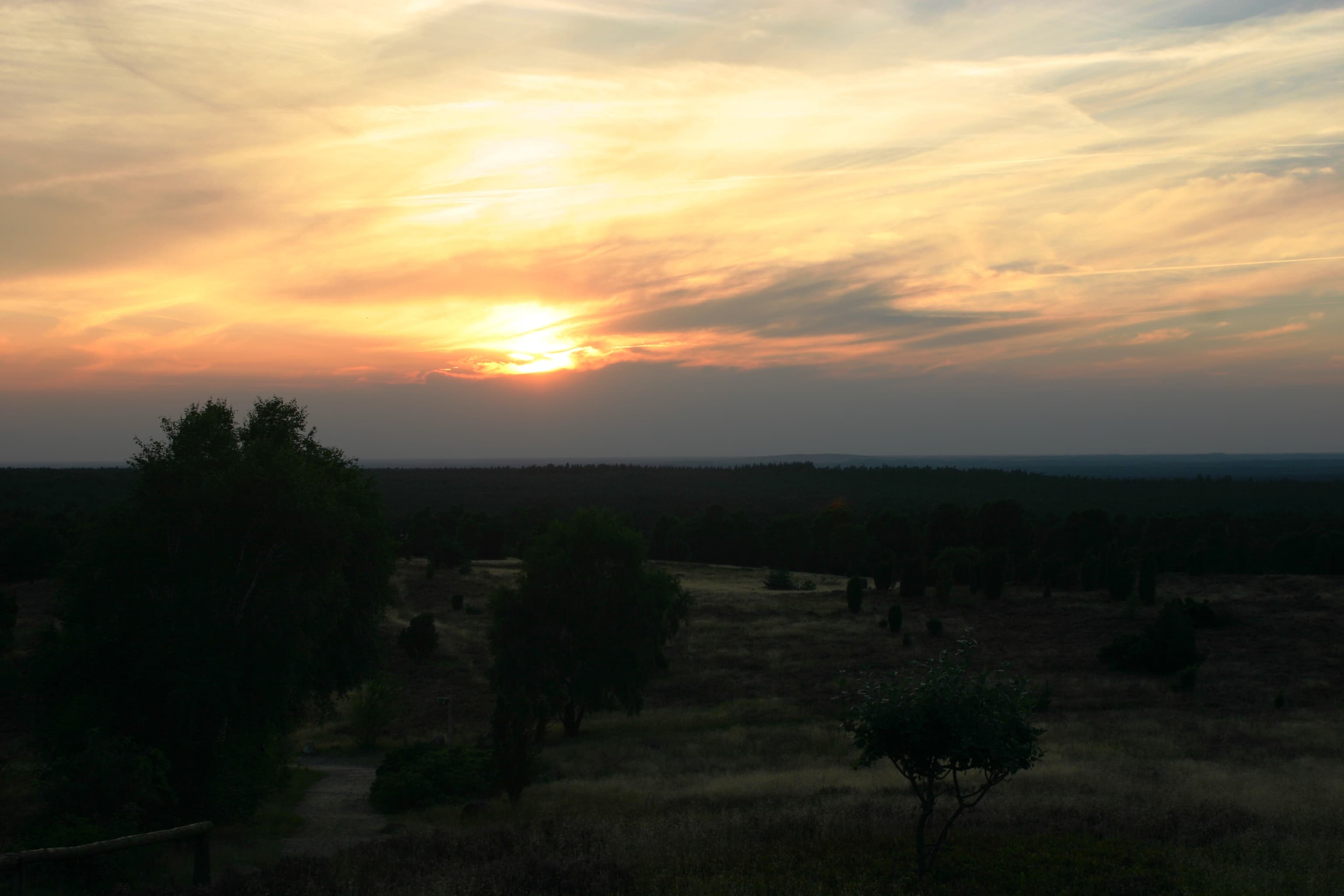 Abends, wenn die Sonne untergeht, auf dem Wilseder Berg