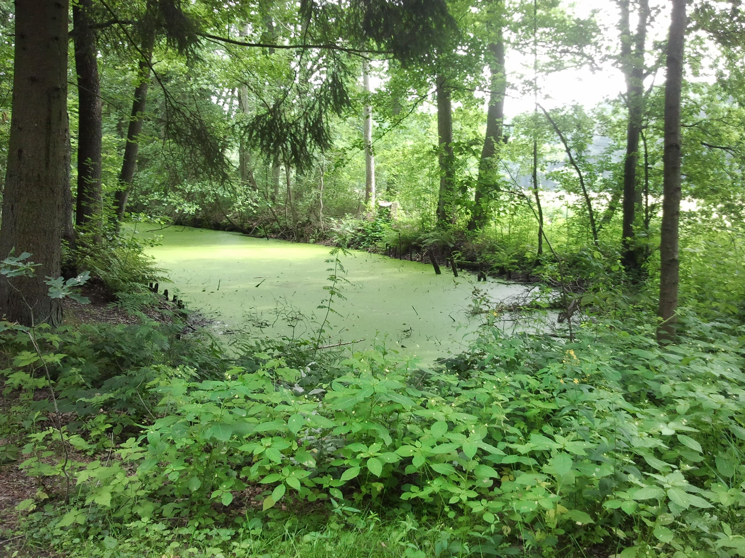 Fluß-Wald-Erlebnispfad