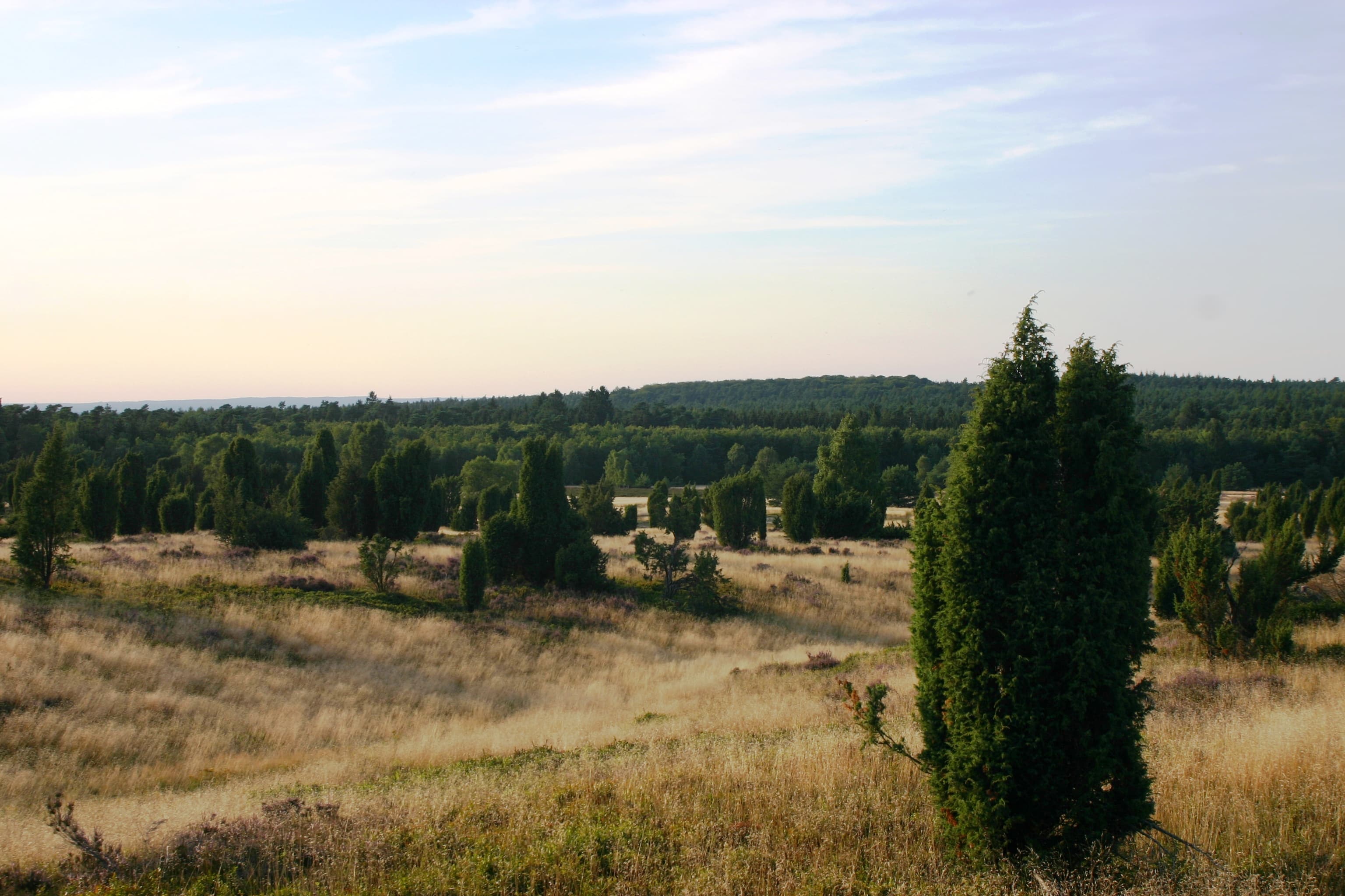 Wilseder Berg Führung