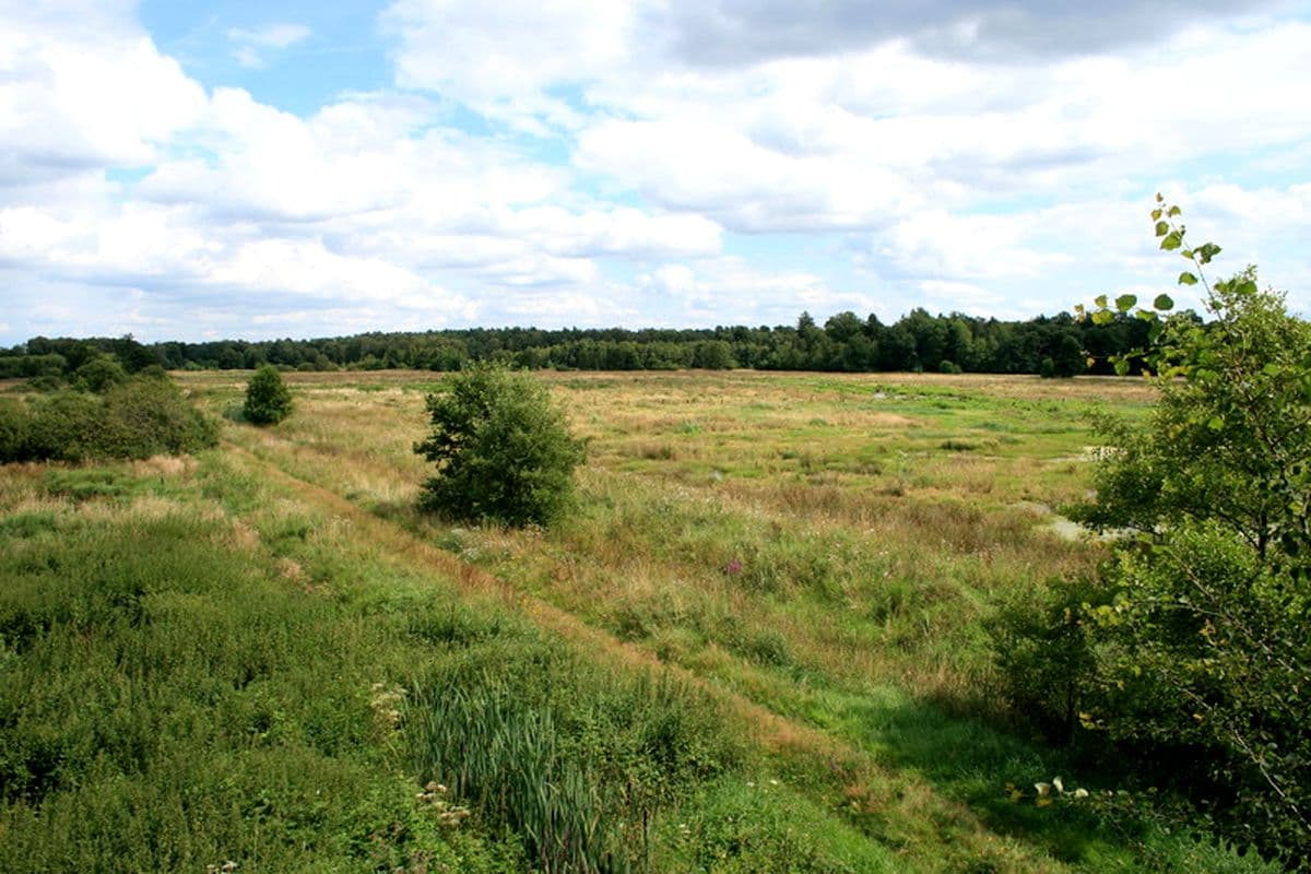 Das Postmoor