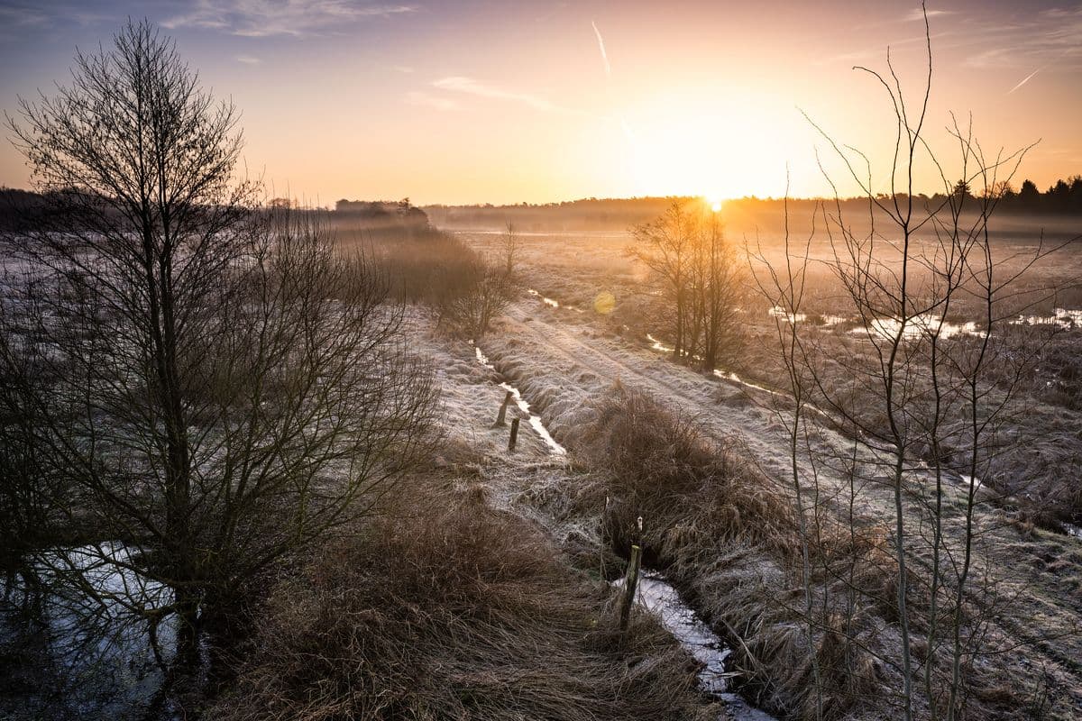 Sonnenaufgang im Postmoor