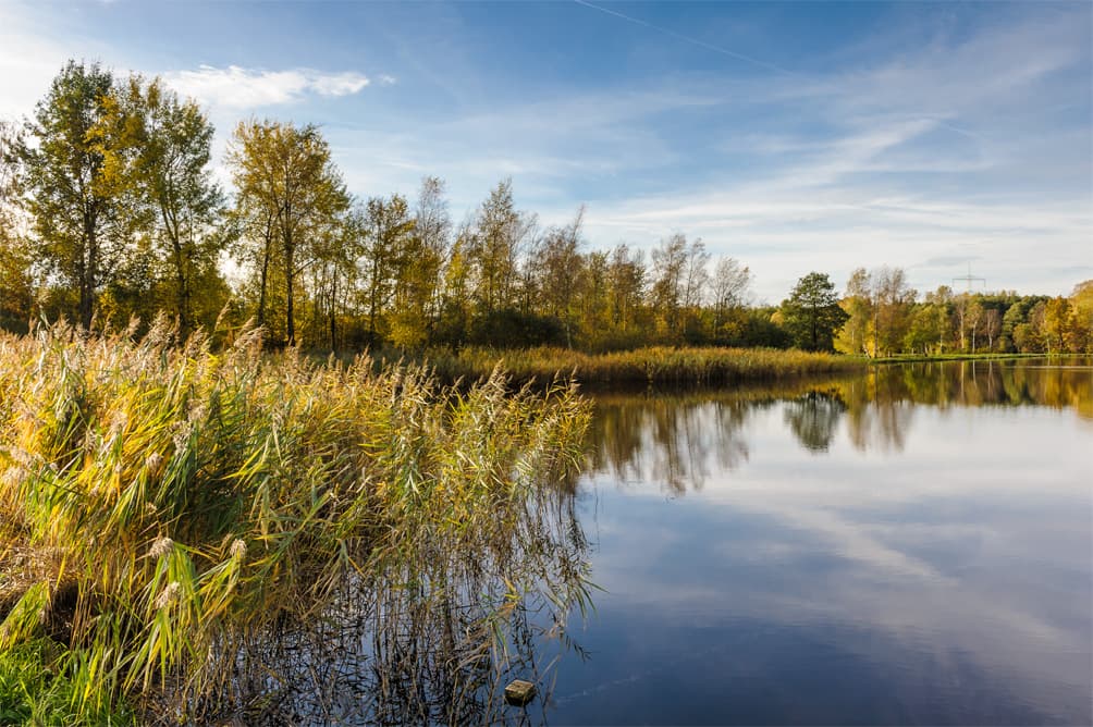 Aschauteiche bei Eschede