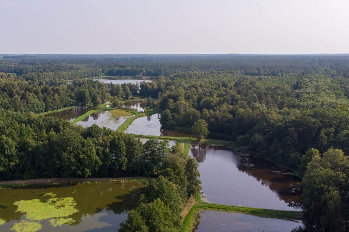 Aschauteiche bei Eschede