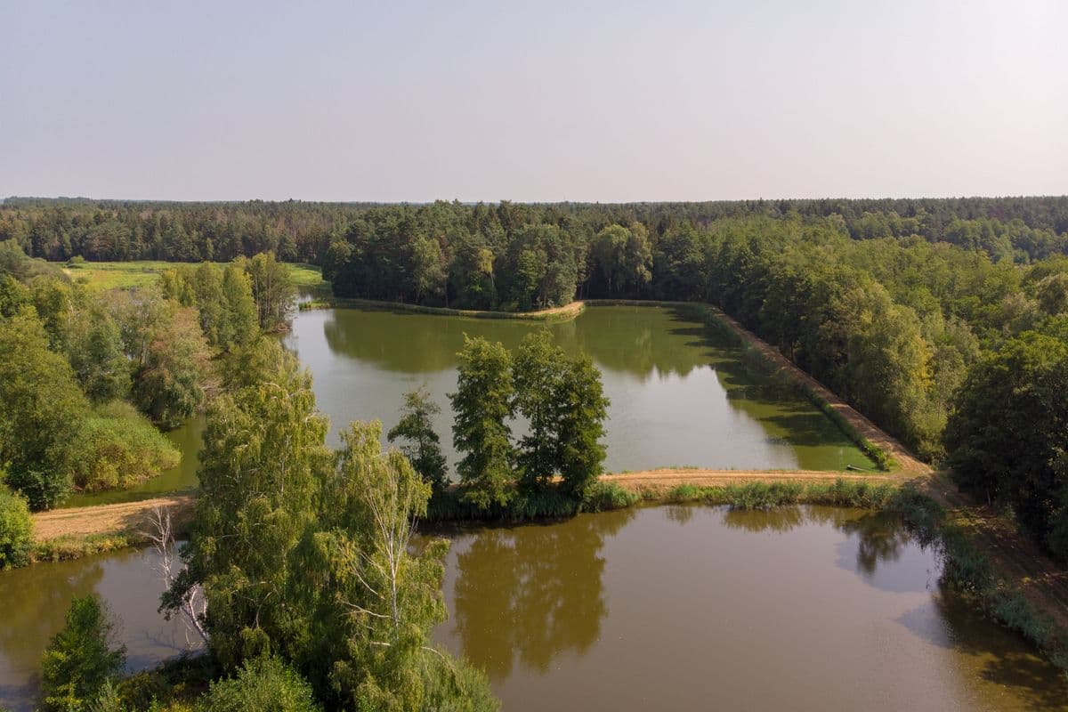 Wanderwege an den Aschauteichen in der Lüneburger Heide
