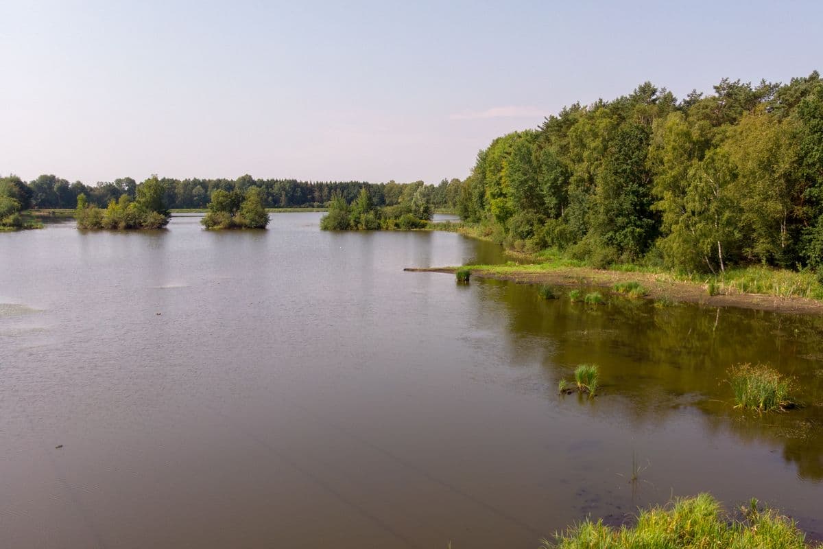 herrliche Seen Landschaft in eschede, die aschauteiche