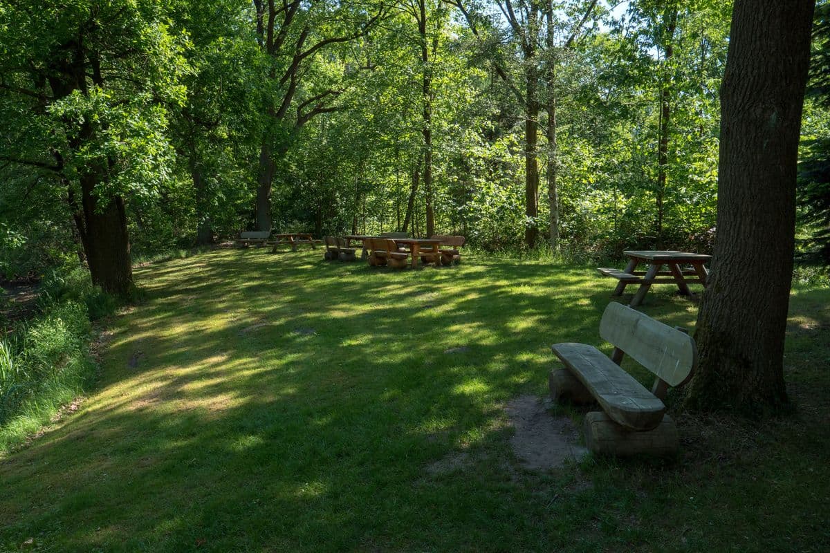 An den Aschauteichen bei Eschede