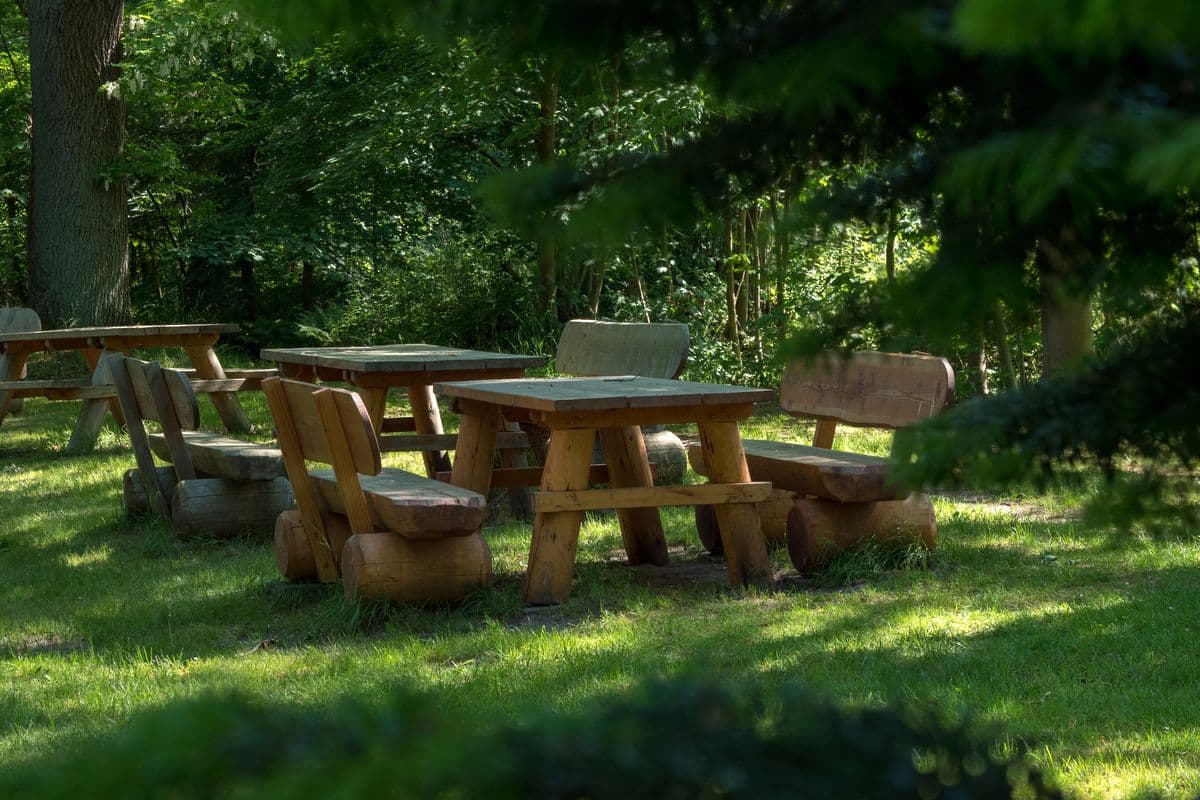 Picknickplaz an den Aschauteichen bei Eschede