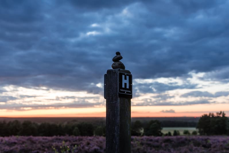 Abendstimmung im Büsenbachtal am Heidschnuckenweg