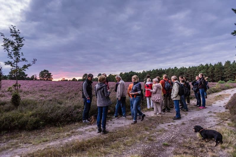 Wandergruppe abends auf dem Heidschnuckenweg