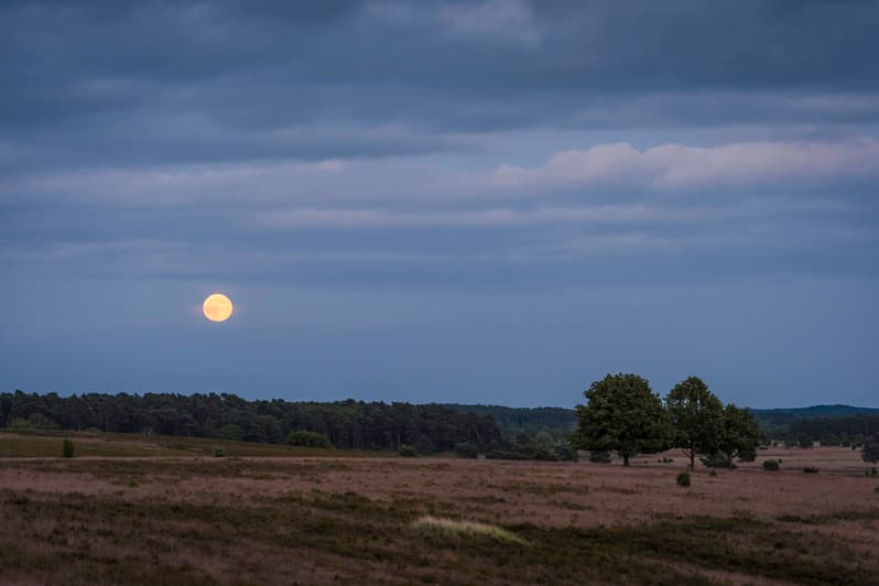 Bei Vollmond unterwegs in der Weseler Heide