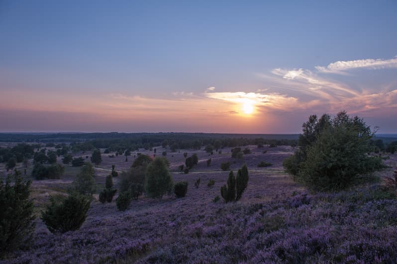 Ausblick vom Wilseder Berg bei Sonnenuntergang