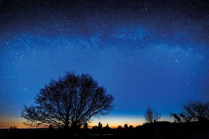 Mystische Stimmung bei Vollmond in der Lüneburger Heide