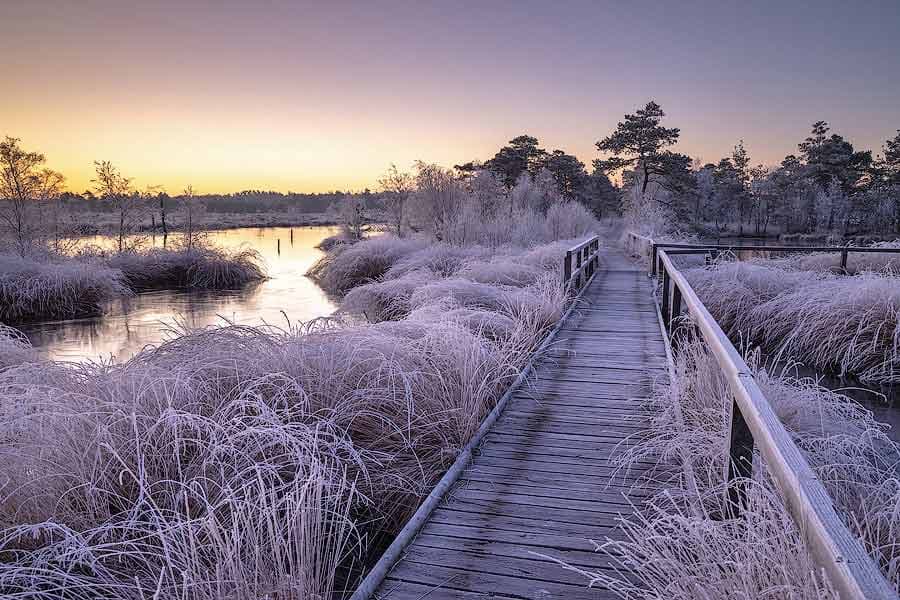 Sonnenaufgang im Pietzmoor im Winter in Scchneverdingen Lüneburger Heide