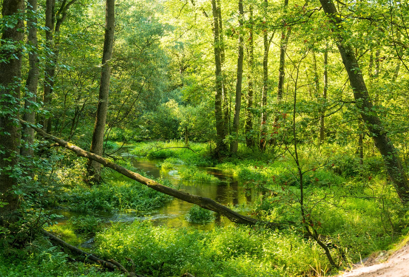 Seevetal bei Inzmühlen am Wanderweg Heidschnuckenweg