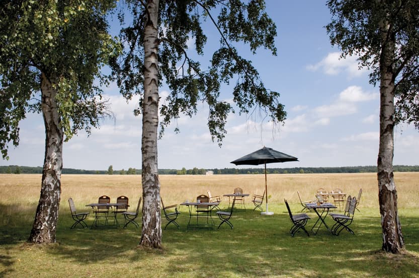 Sandmagerrasenfläche Camp Reinsehlen