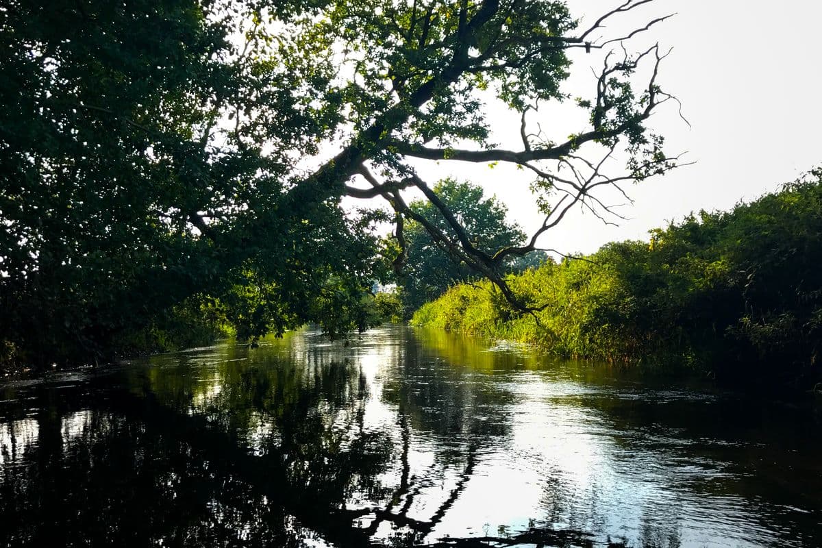 Wasserwandern auf der Örtze