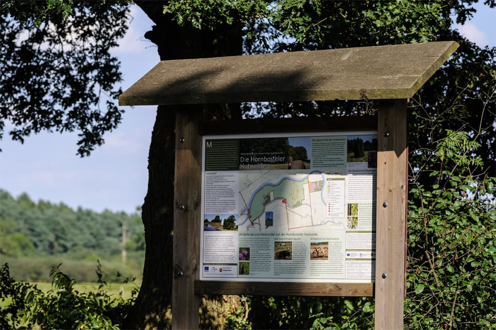 Infotafel an der Hornbosteler Hutweide