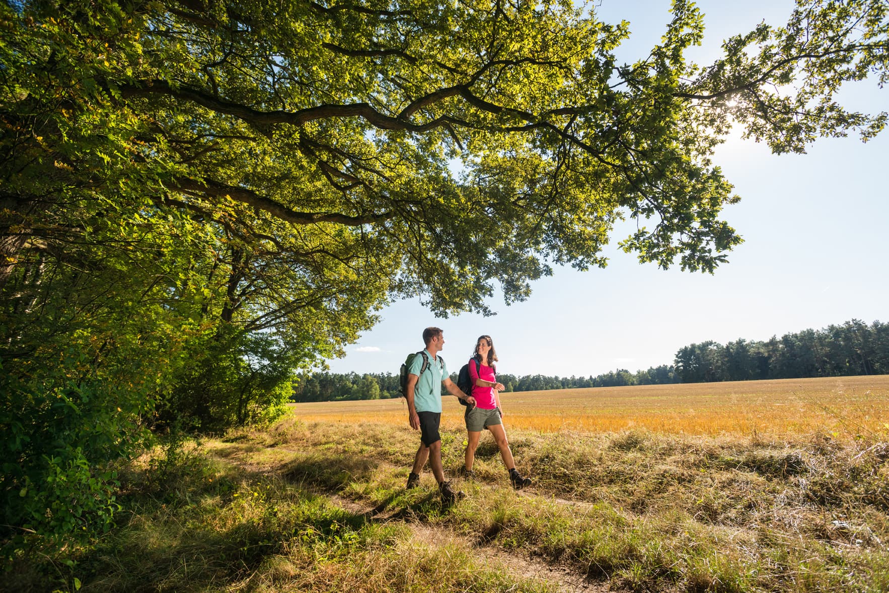 Wandern durch die Feldmark